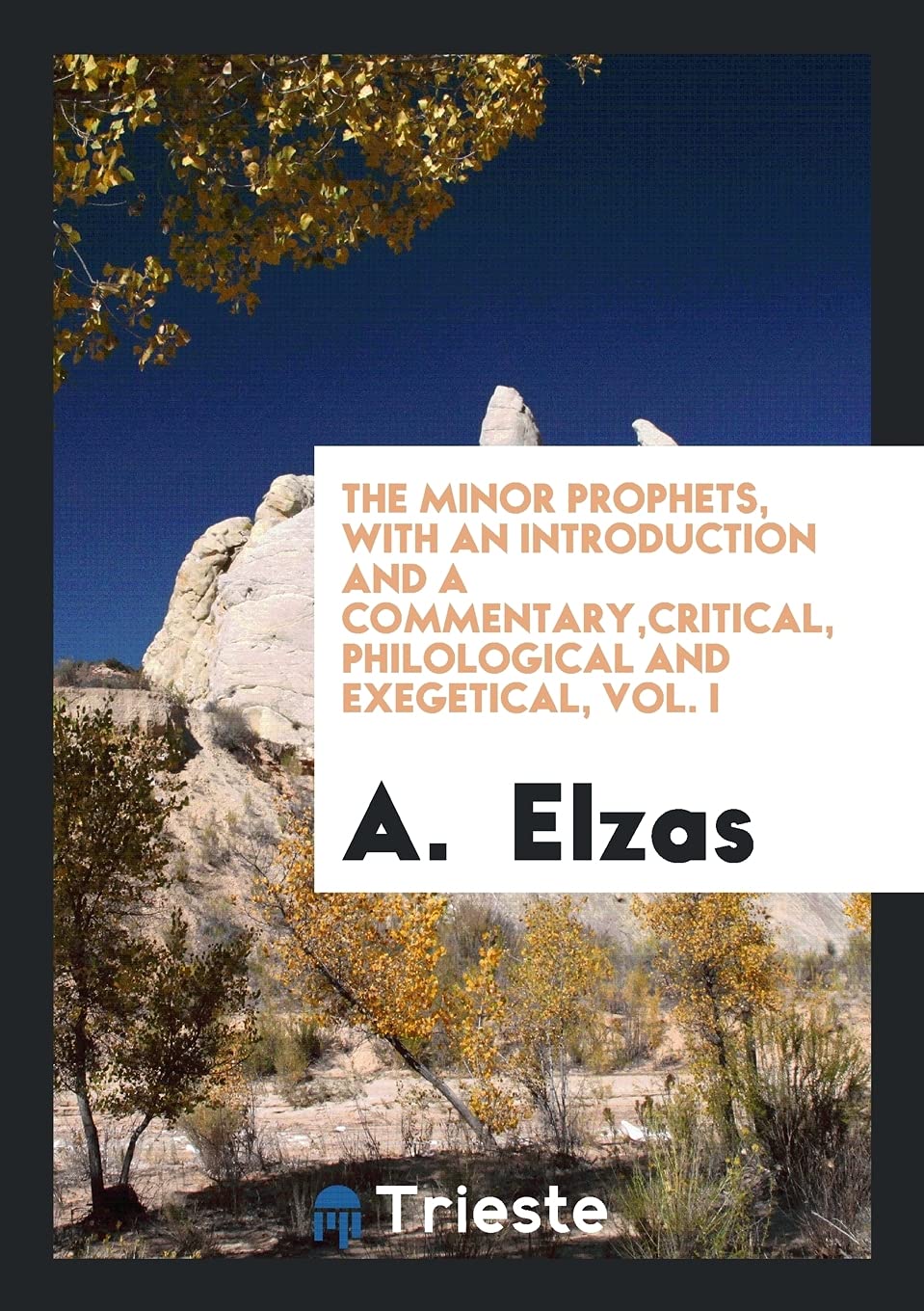 The Minor Prophets, with an Introduction and a Commentary, Critical, Philological and Exegetical, Vol. I Social Sciences