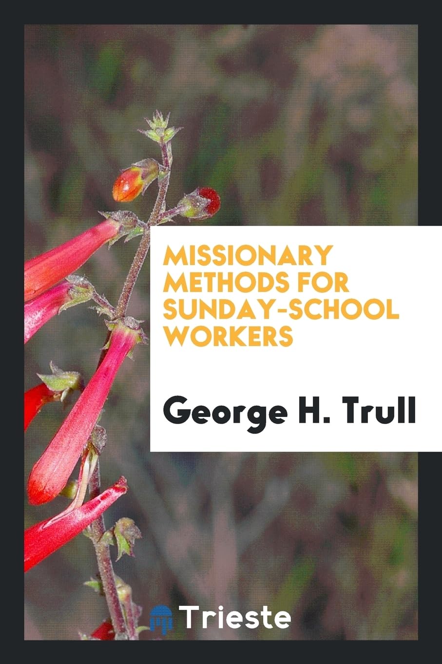 Product Image: Missionary Methods for Sunday-School Workers