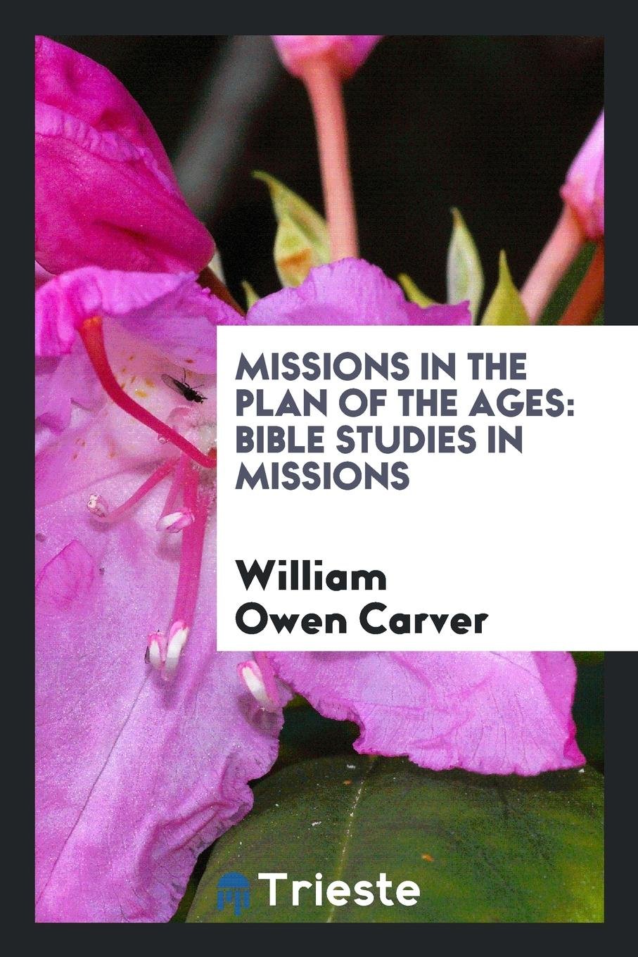 Missions in the Plan of the Ages; Bible Studies in Missions Politics & History