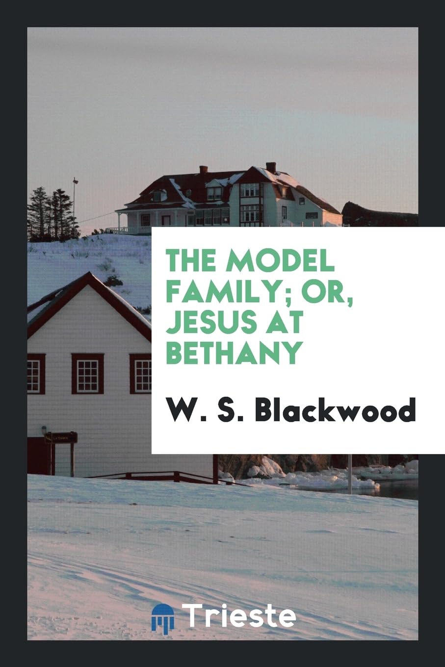 The Model Family; Or, Jesus at Bethany Books