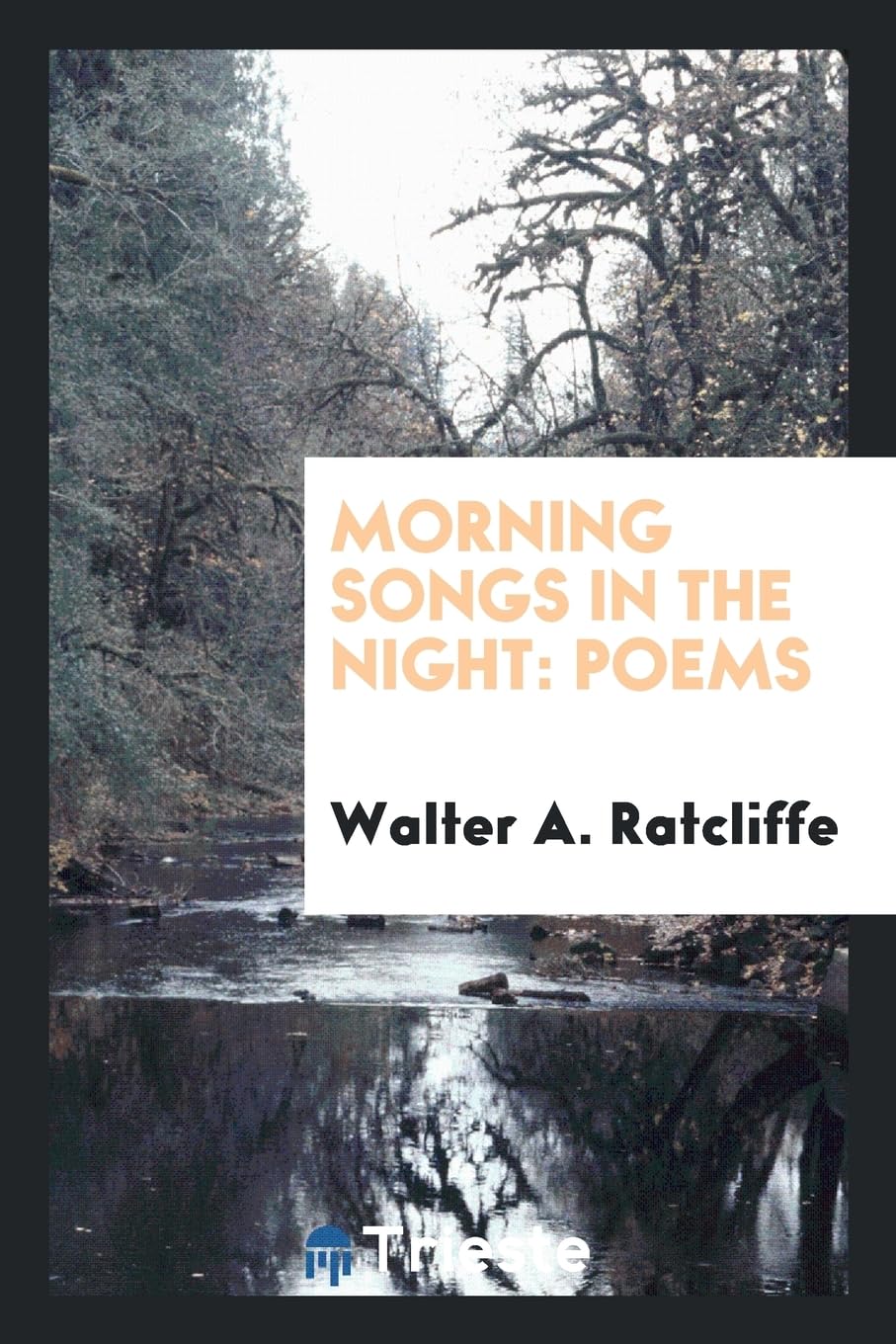 Morning Songs in the Night: Poems Social Sciences