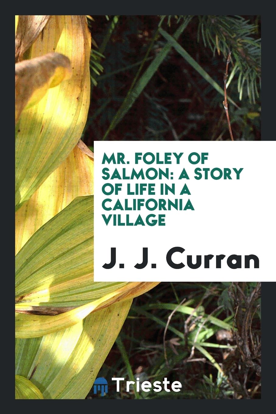 Mr. Foley of Salmon: A Story of Life in a California Village Social Sciences