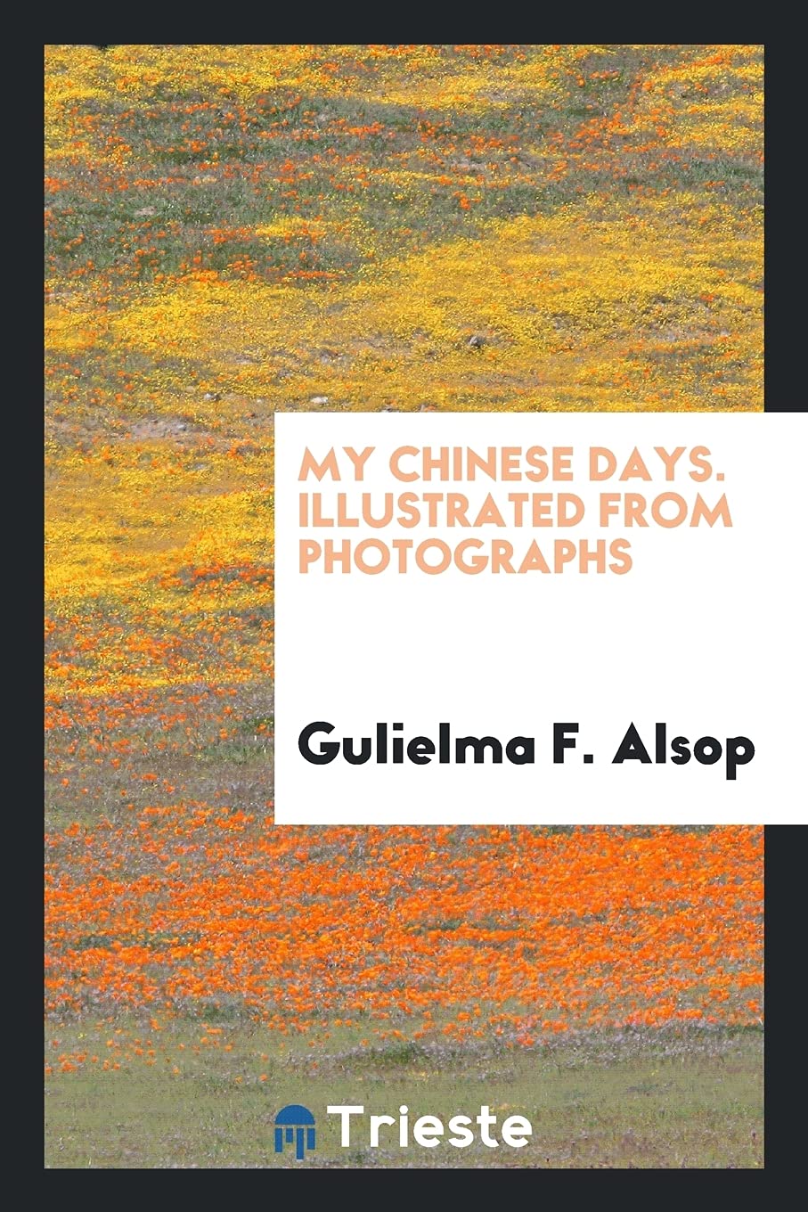 My Chinese Days. Illustrated from Photographs Social Sciences