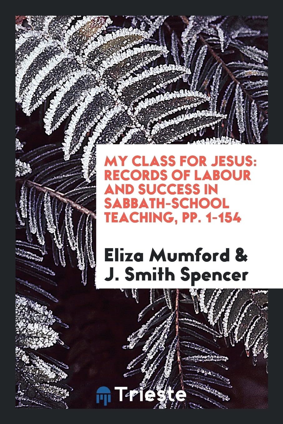 My Class for Jesus: Records of Labour and Success in Sabbath-School Teaching, Pp. 1-154 Books