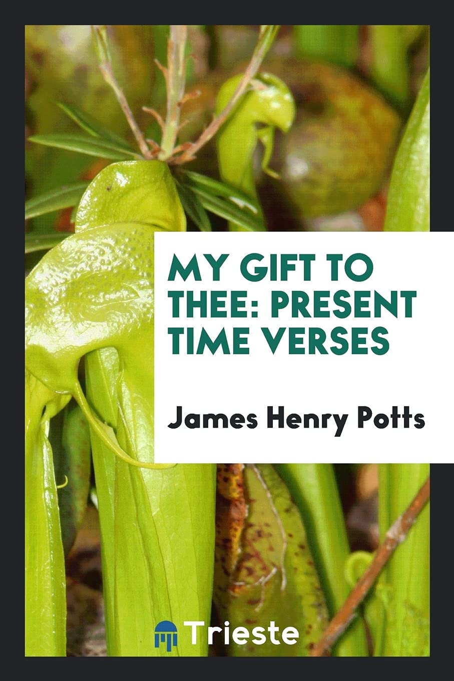 My Gift to Thee: Present Time Verses Poetry