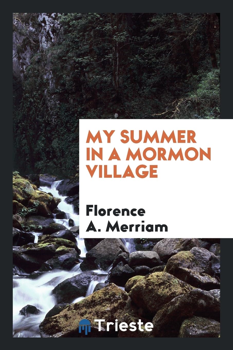 My Summer in a Mormon Village Books