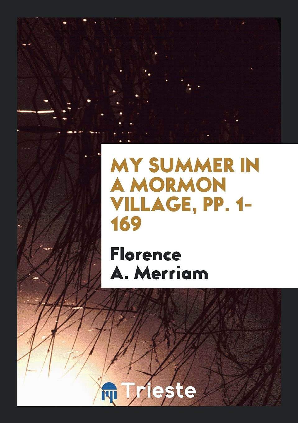 My Summer in a Mormon Village, Pp. 1-169 Books
