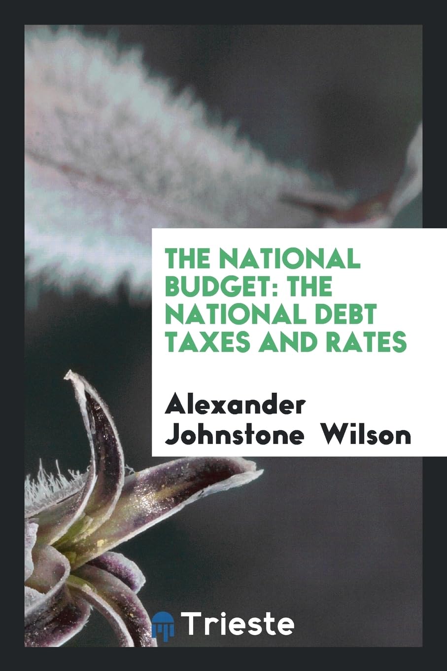 The National Budget: The National Debt Taxes and Rates Politics & History