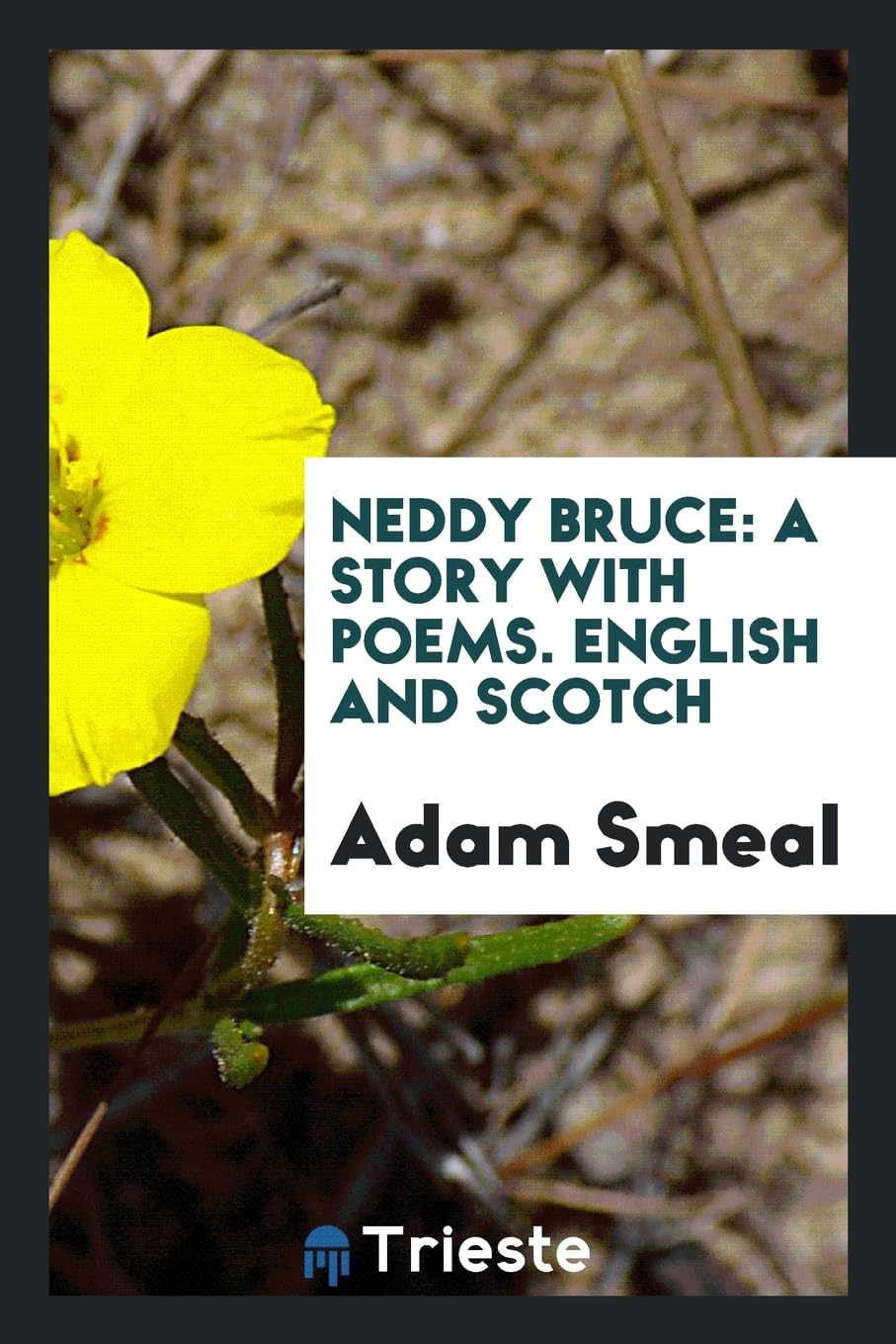 Neddy Bruce: A Story with Poems. English and Scotch Social Sciences