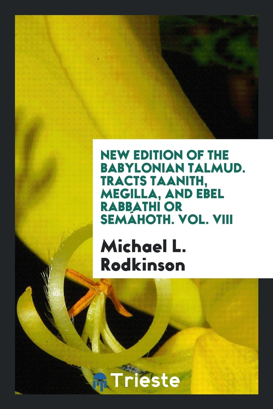 New Edition of the Babylonian Talmud. Tracts Taanith, Megilla, and Ebel Rabbathi or Semáhoth. Vol. VIII International
