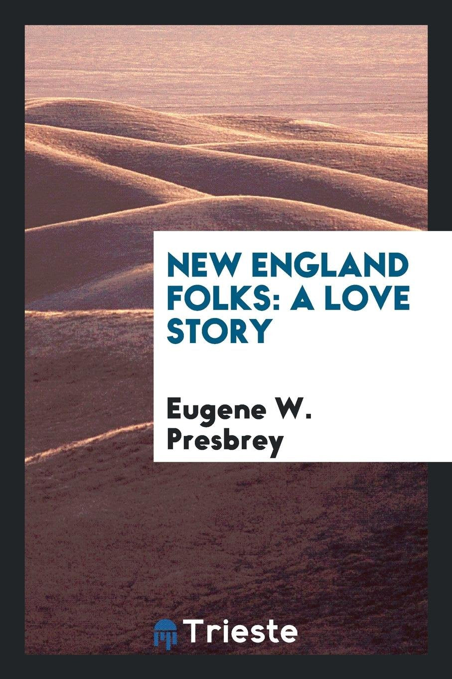 New England Folks: A Love Story ... Contemporary literature