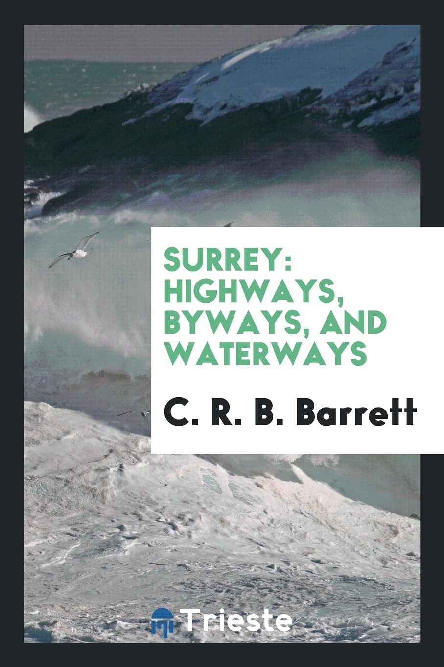 Surrey: Highways, Byways, and Waterways Social Sciences