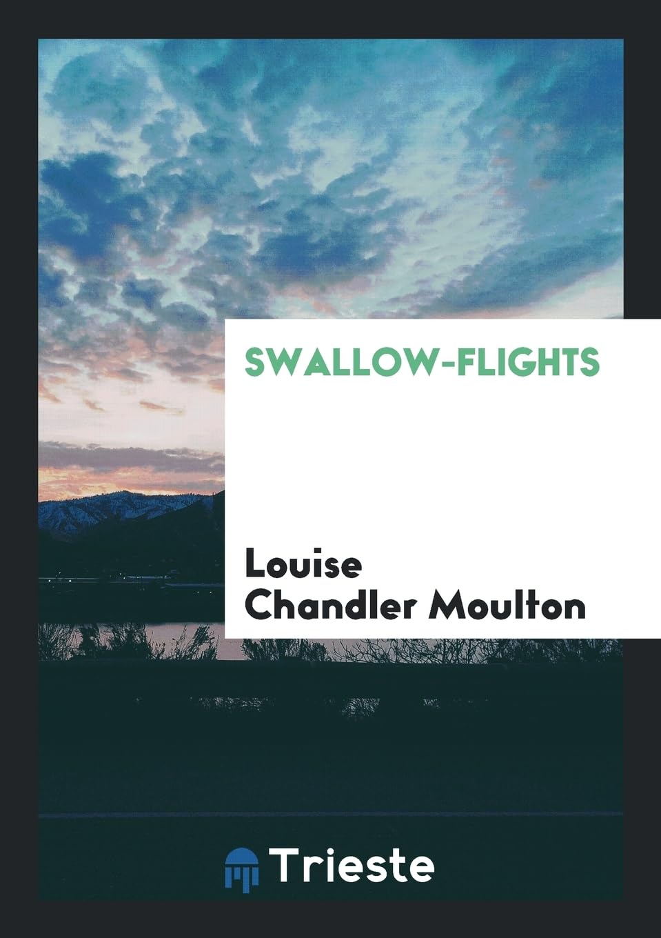 Swallow-Flights Social Sciences