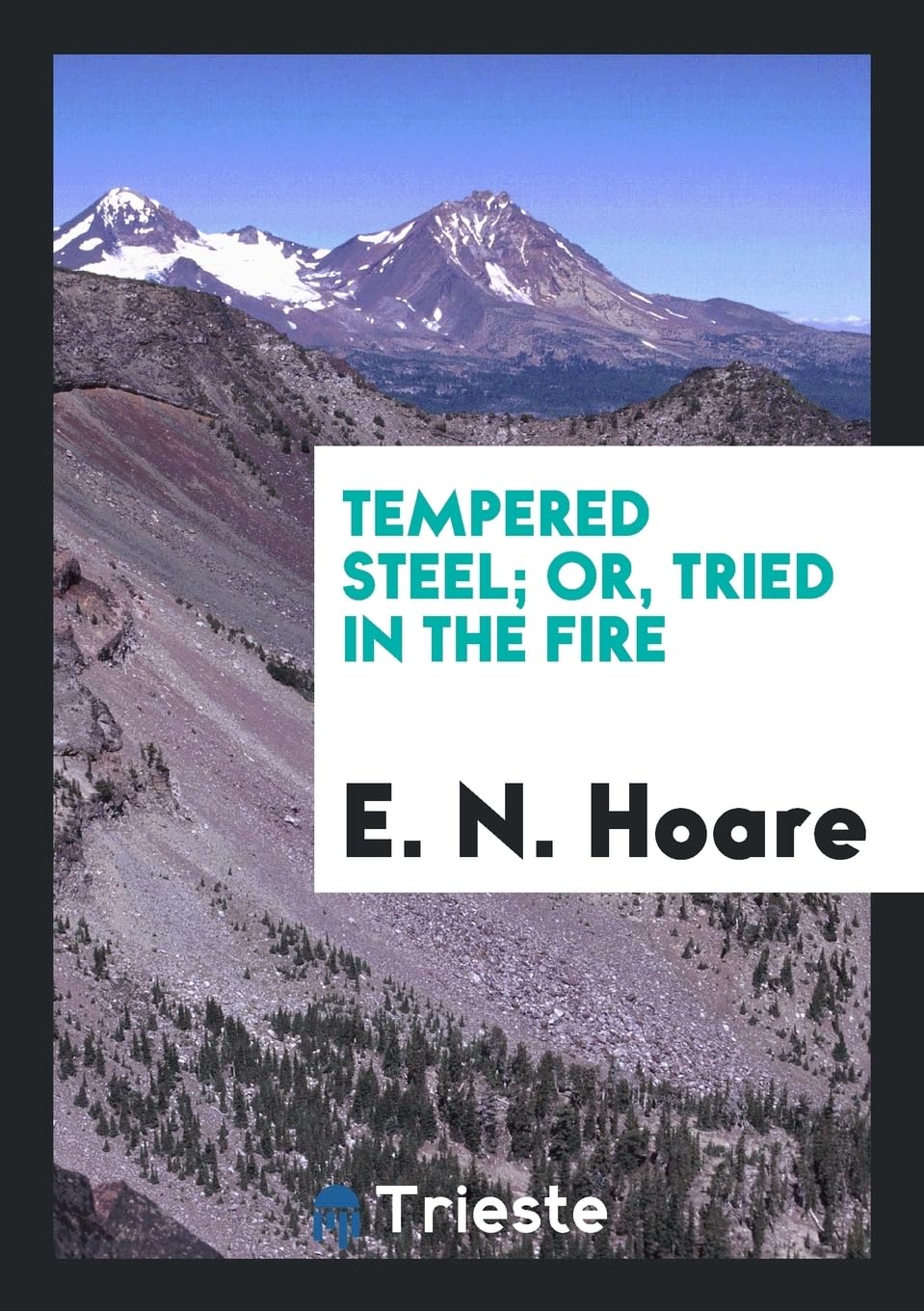 Tempered Steel; Or, Tried in the Fire Contemporary literature