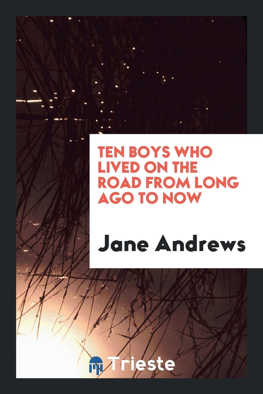 Ten Boys Who Lived on the Road from Long Ago to Now Social Sciences