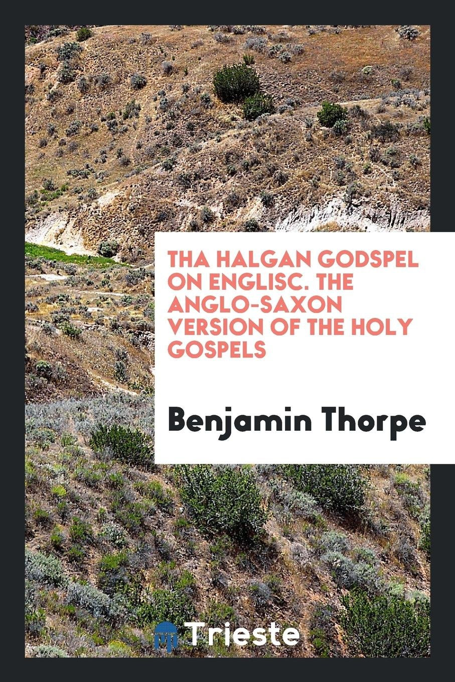 Tha Halgan Godspel on Englisc =: The Anglo-Saxon Version of the Holy Gospels Social Sciences