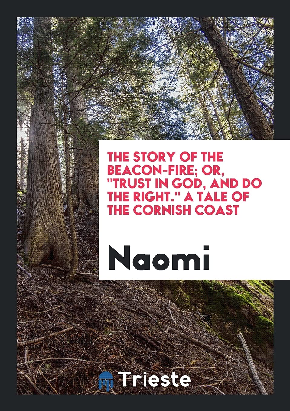 The Story of the Beacon-Fire; Or, Trust in God, and Do the Right. a Tale of the Cornish Coast Social Sciences