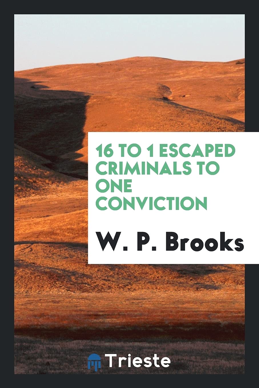 16 to 1 Escaped Criminals to One Conviction Books