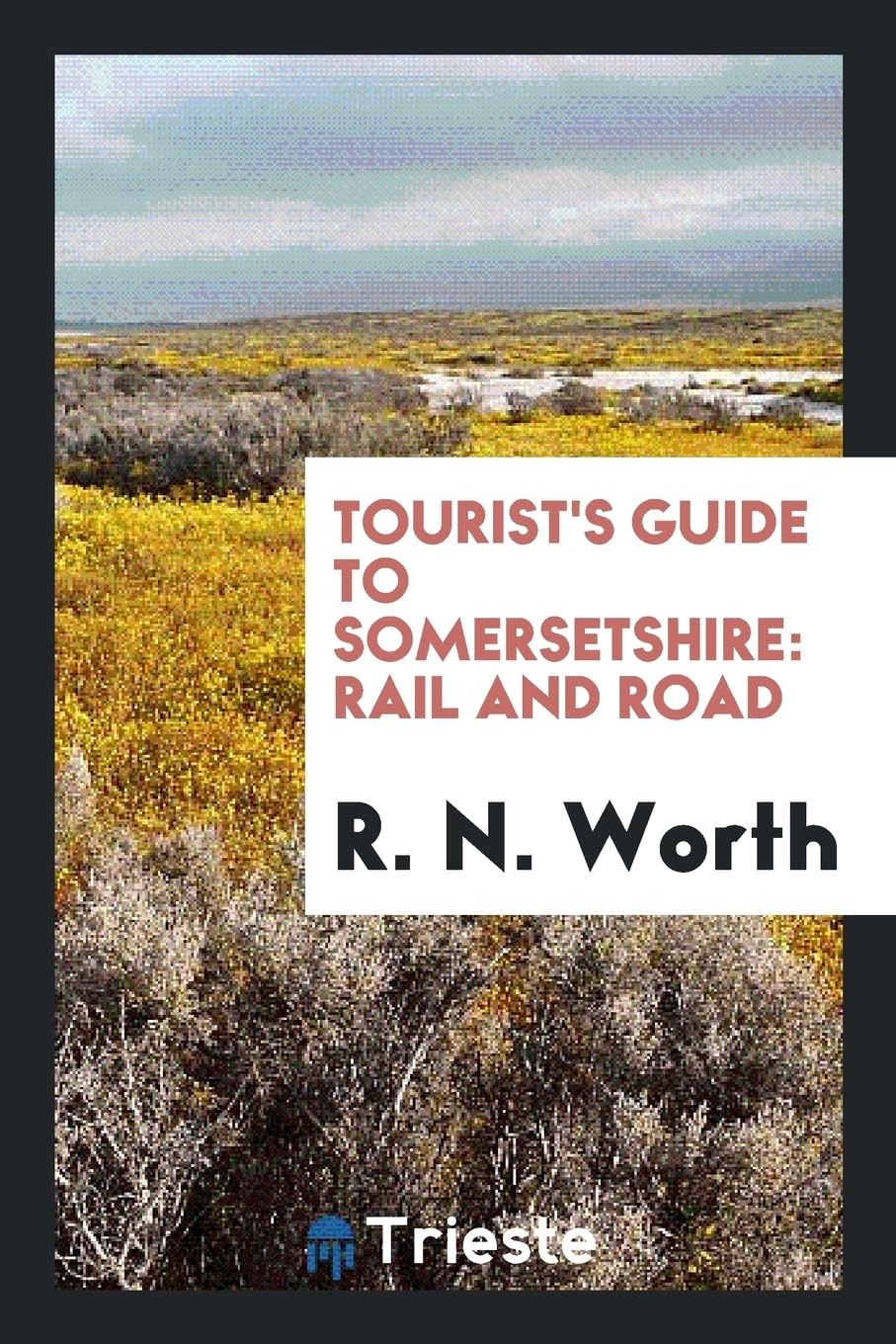 Tourist's Guide to Somersetshire: Rail and Road Social Sciences