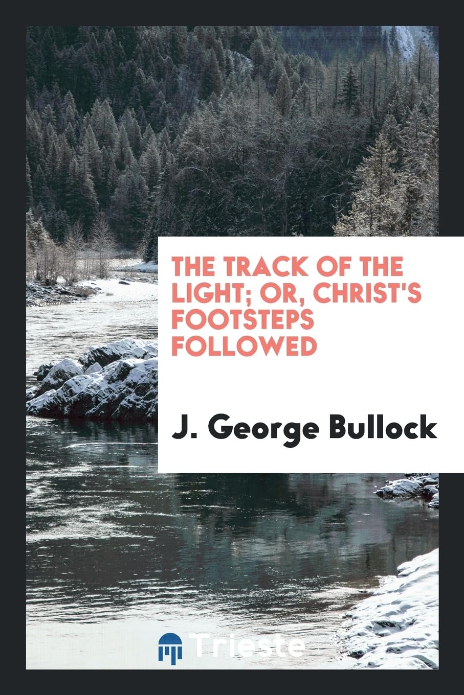 The Track of the Light; Or, Christ's Footsteps Followed Social Sciences