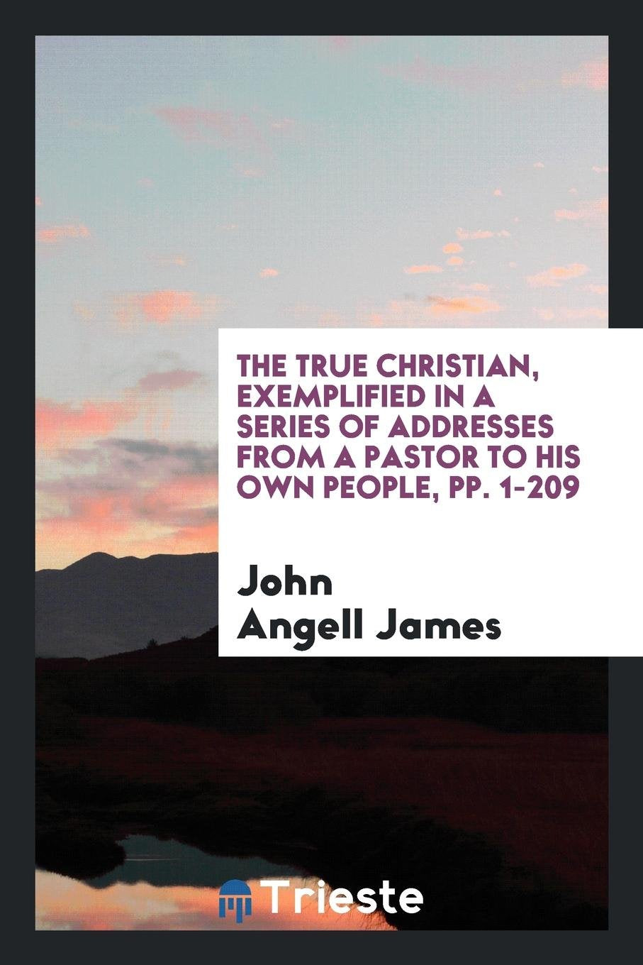The True Christian: Exemplified in a Series of Addresses from a Pastor to His Own People. ... Contemporary literature Books