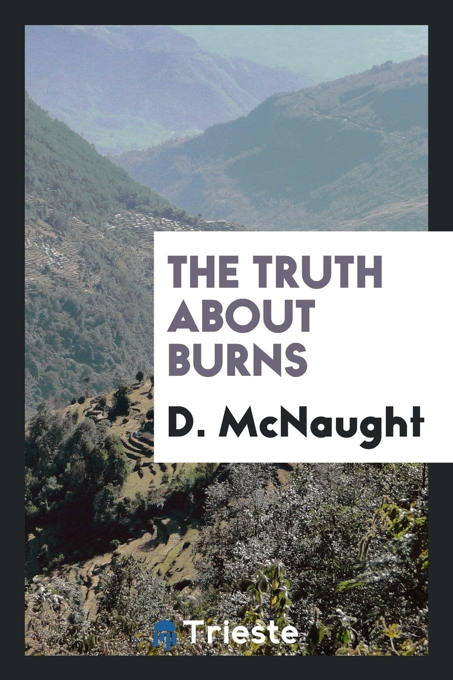 The Truth about Burns Art & Literature