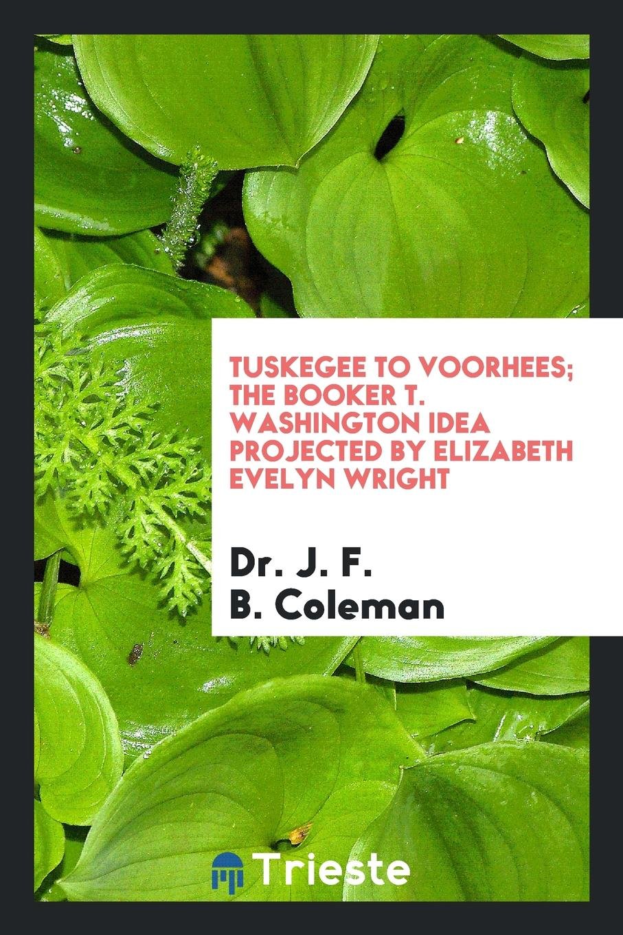 Tuskegee to Voorhees; The Booker T. Washington Idea Projected Politics & History