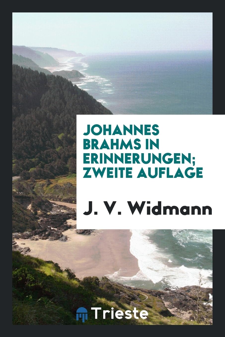 Johannes Brahms in Erinnerungen; Zweite Auflage Leisure, Home & Garden