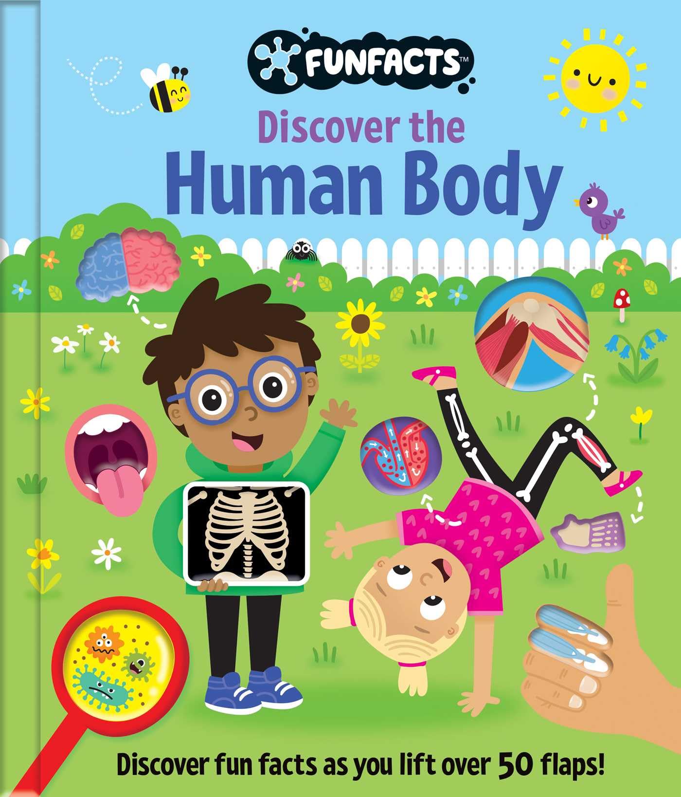 Discover the Human Body: Lift-The-Flap Book Non-fiction