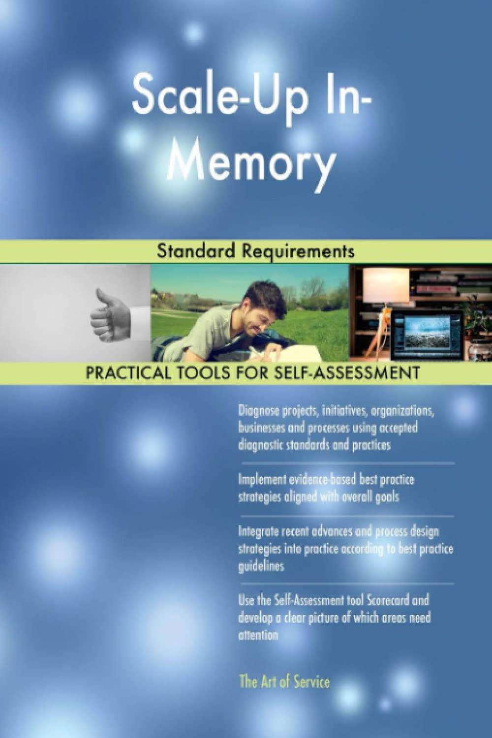 Product Image: Scale-Up In-Memory Standard Requirements