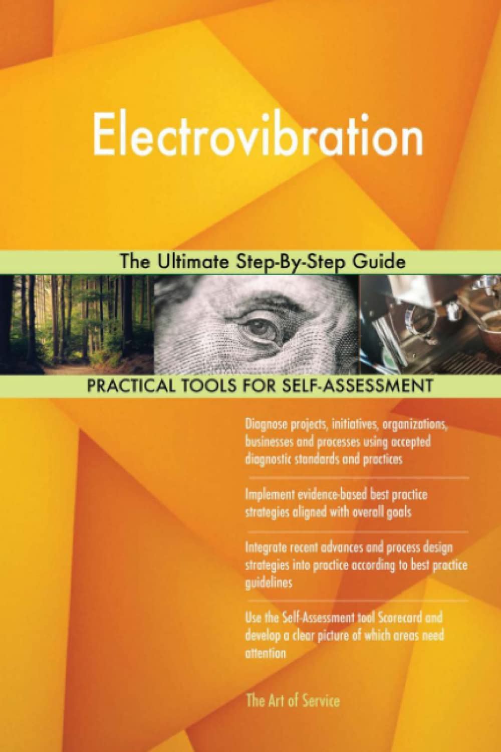 Product Image: Electrovibration The Ultimate Step-By-Step Guide