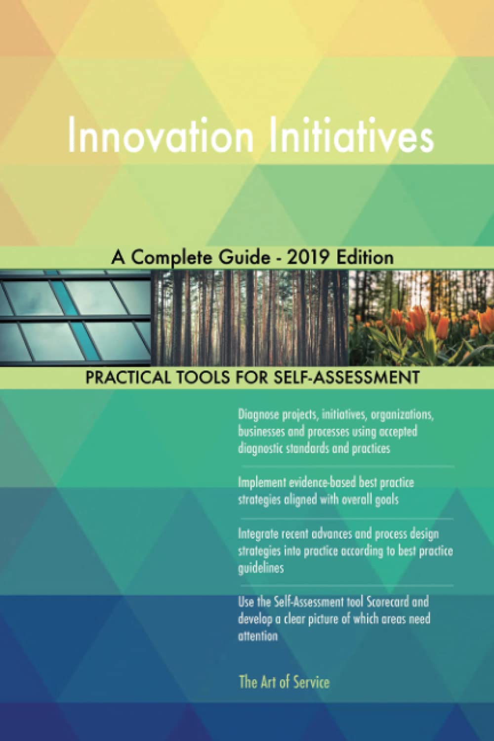Product Image: Innovation Initiatives A Complete Guide - 2019 Edition