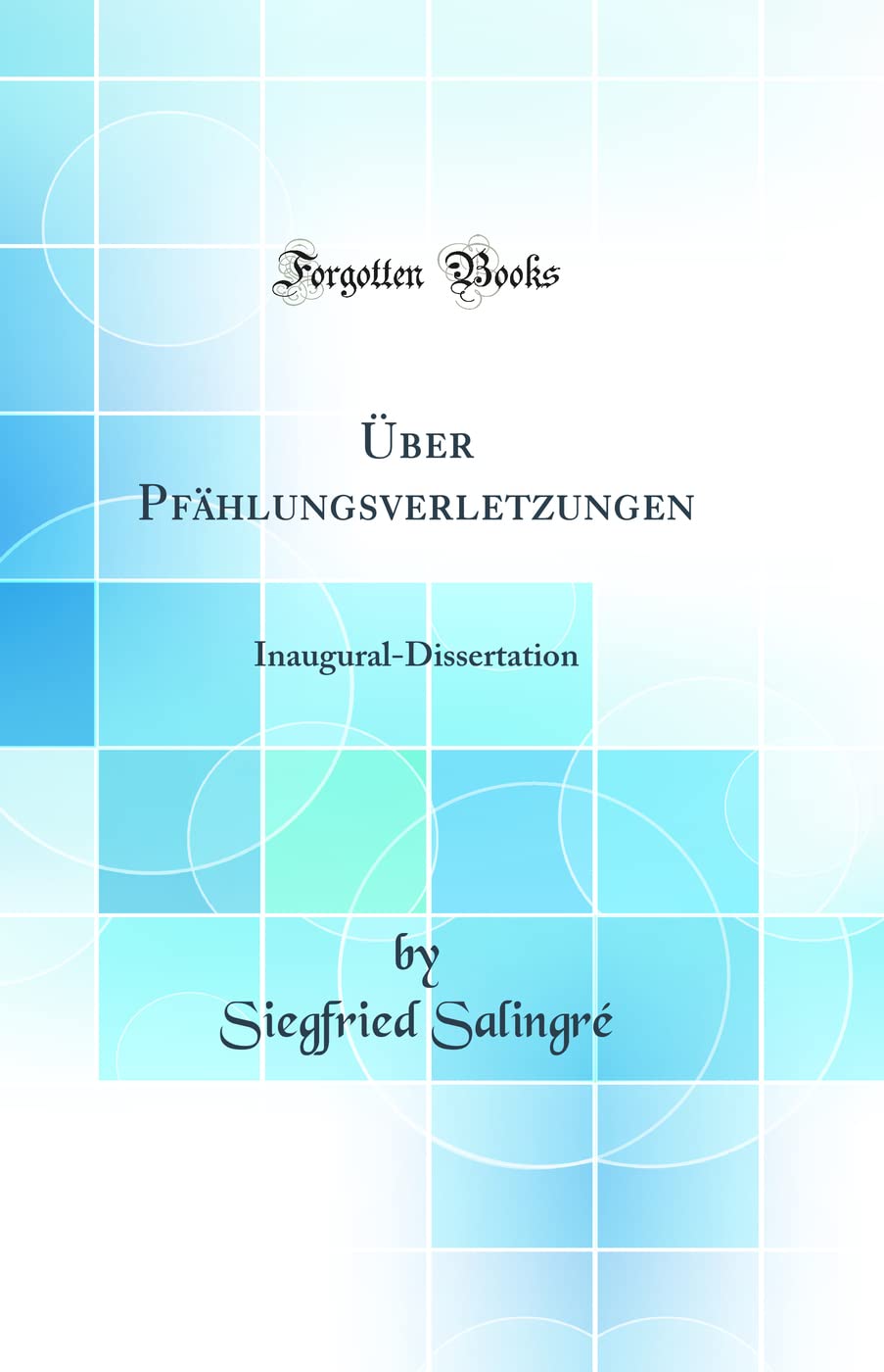 Über Pfählungsverletzungen: Inaugural-Dissertation (Classic Reprint) Medicine