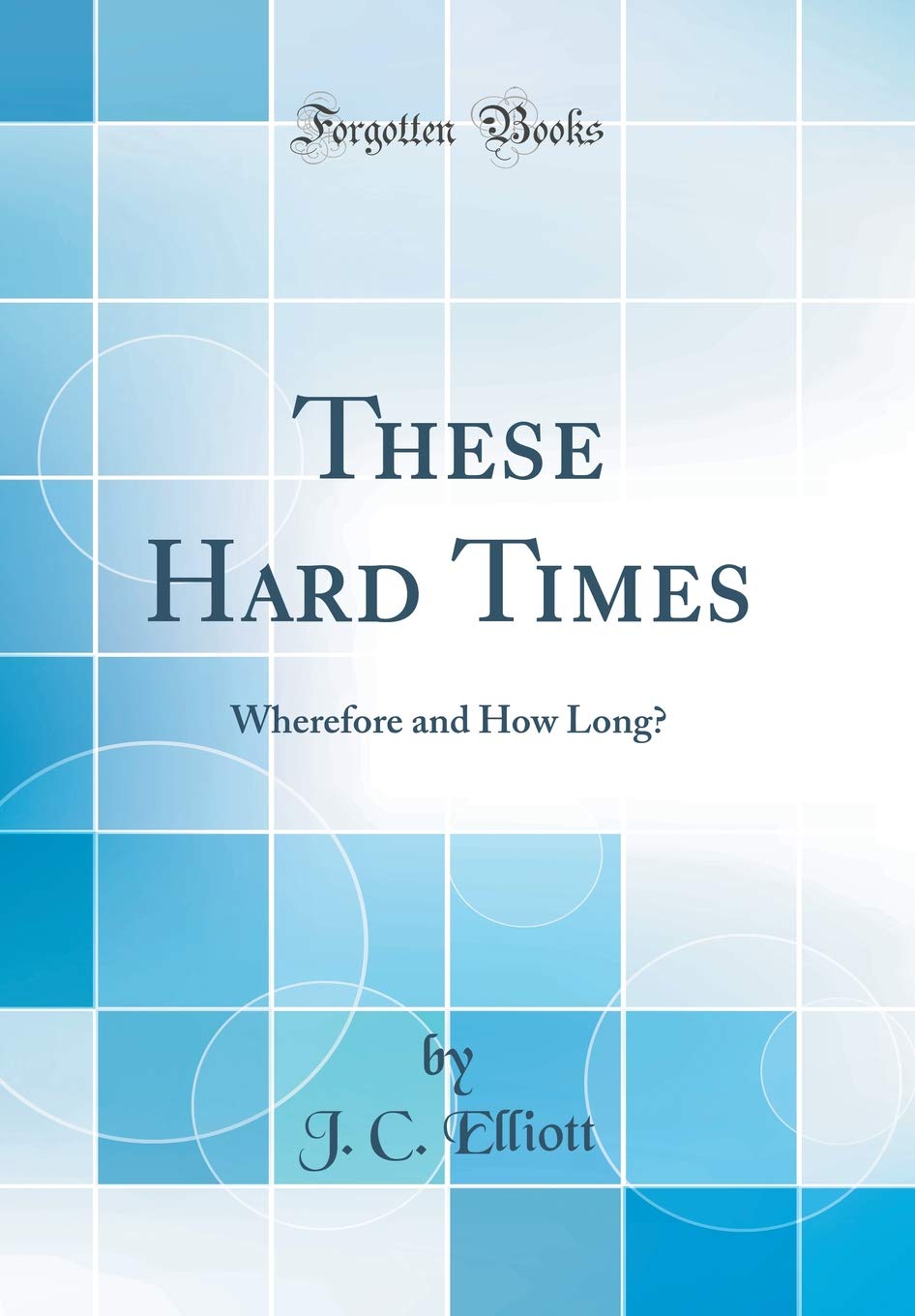 These Hard Times: Wherefore and How Long? (Classic Reprint) Business, Finance & Career