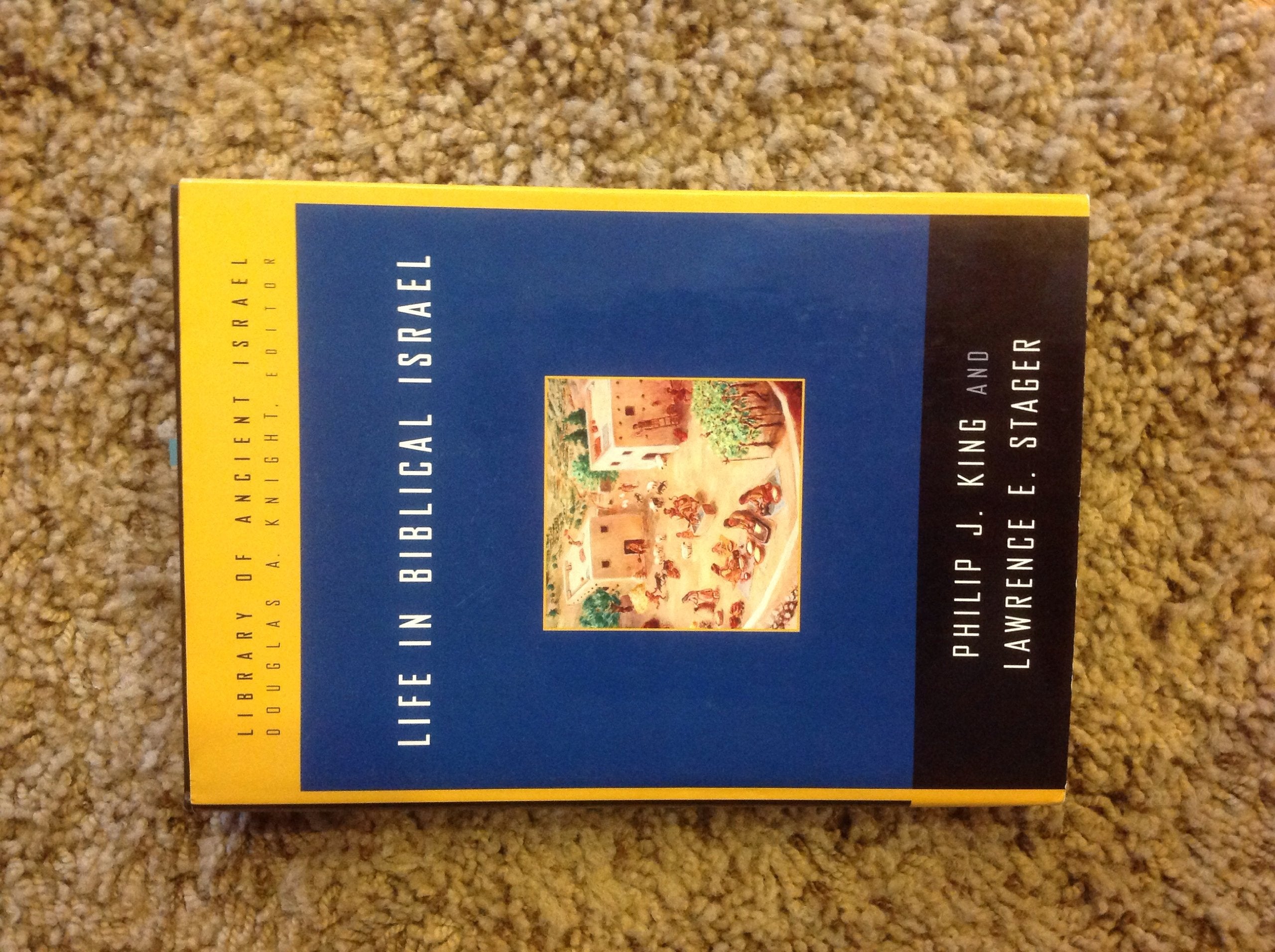 Life in Biblical Israel (Library of Ancient Israel) Social Sciences