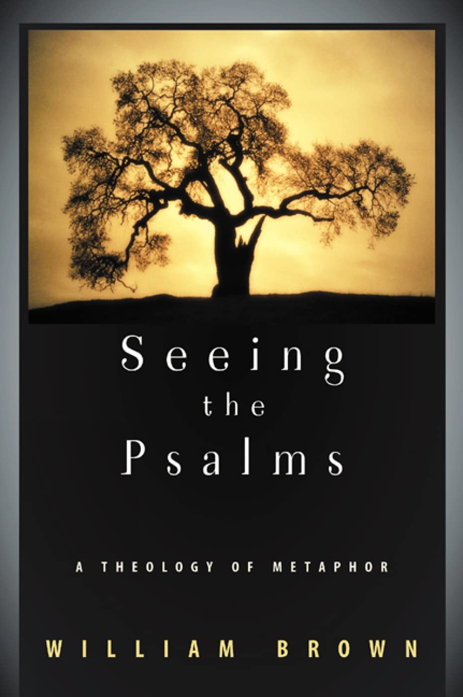 Seeing the Psalms: A Theology of Metaphor book