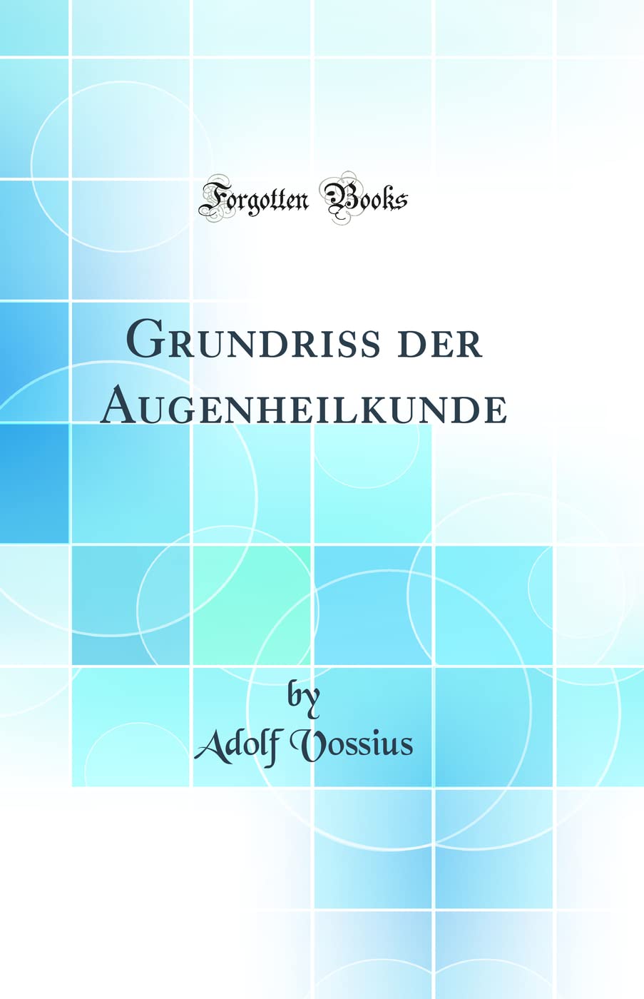 Grundriss der Augenheilkunde (Classic Reprint) Medicine