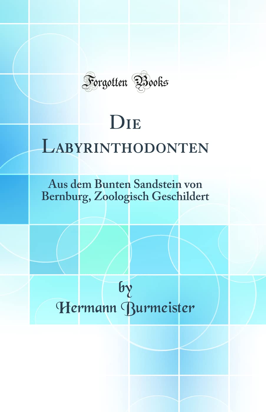 Die Labyrinthodonten: Aus dem Bunten Sandstein von Bernburg, Zoologisch Geschildert (Classic Reprint) Business & Technology