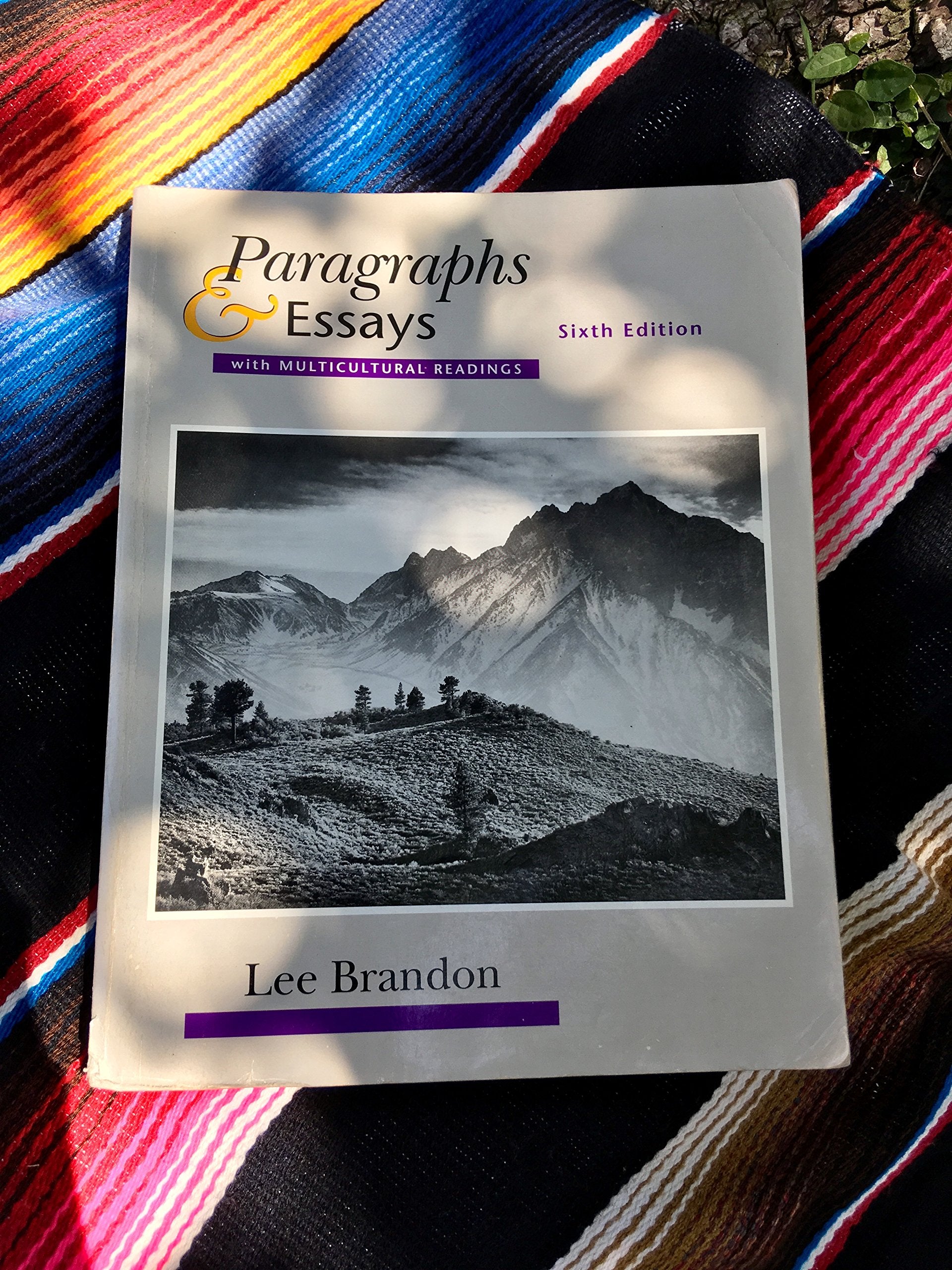 Product Image: Paragraphs and Essays
