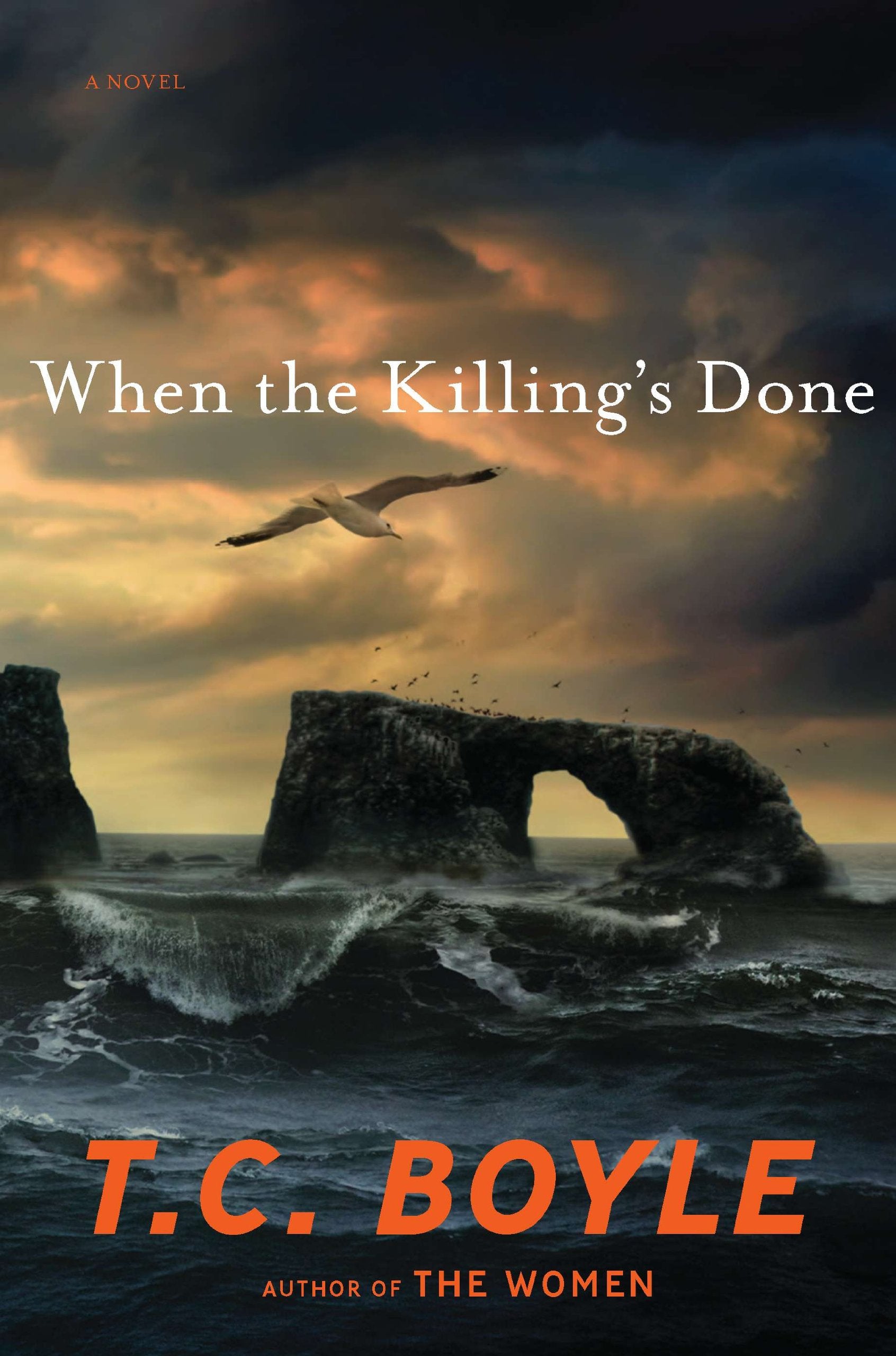 When the Killing's Done: A Novel Fiction Books