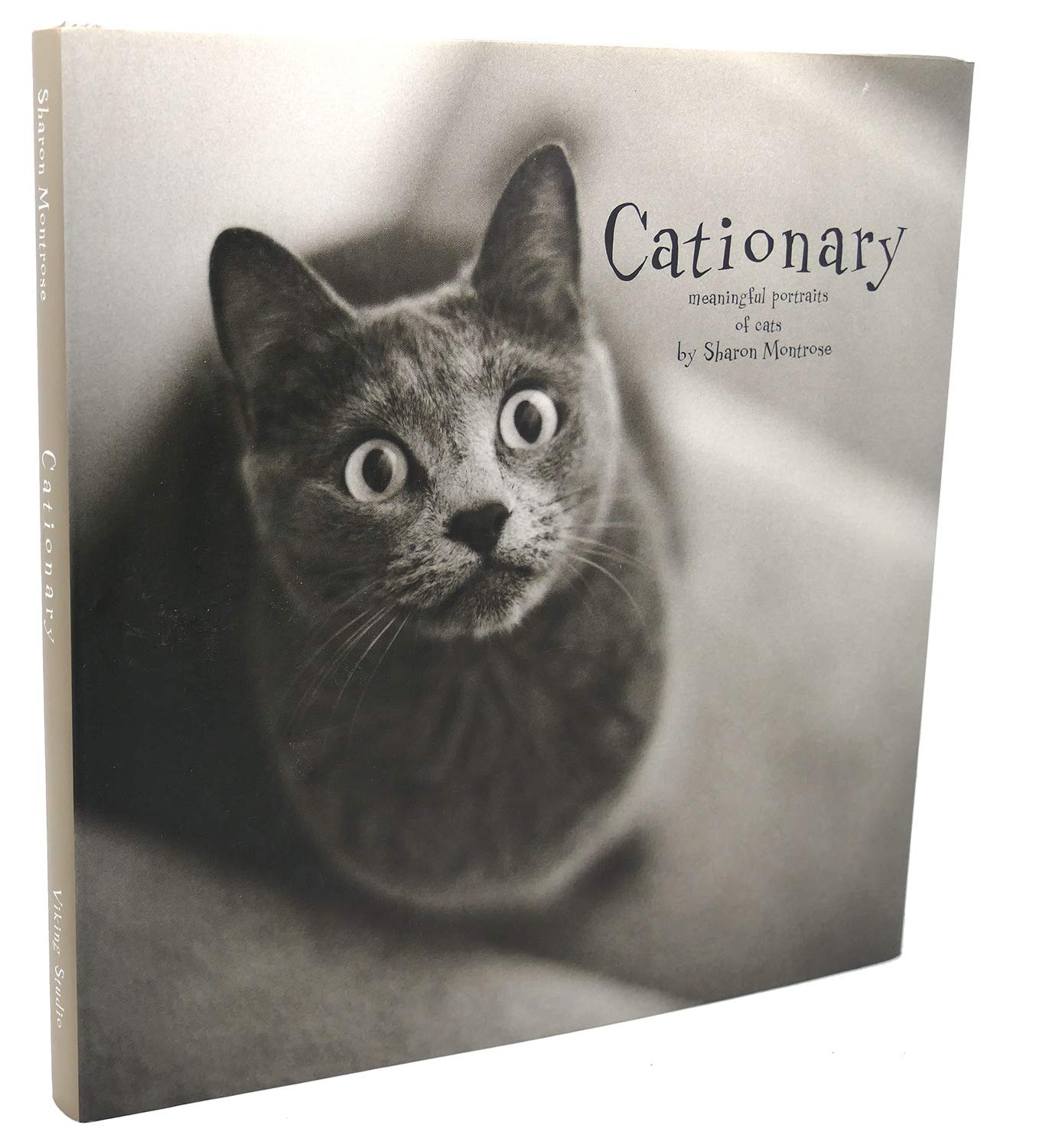 Cationary: Meaningful Portraits of Cats Travel