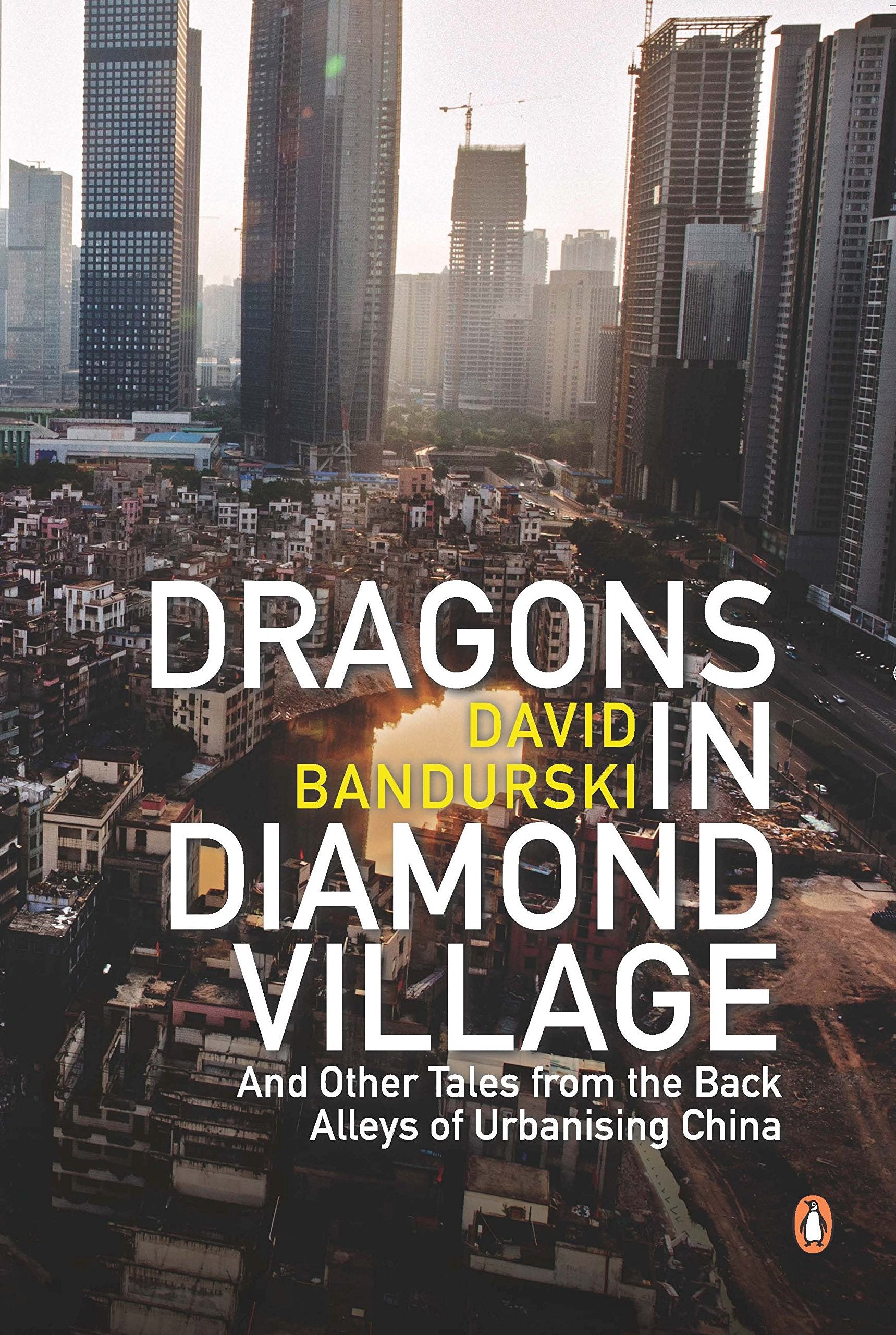Dragons in Diamond Village: And Other Tales from the Back Alleys of Urbanising China Politics & History