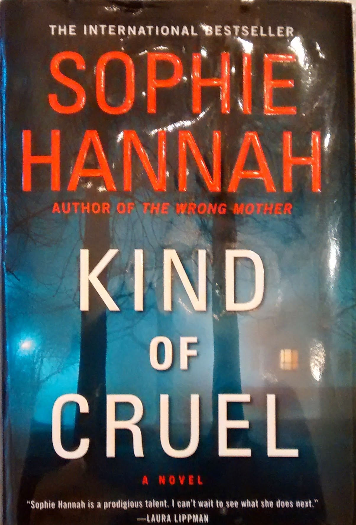 Kind of Cruel: A Novel book