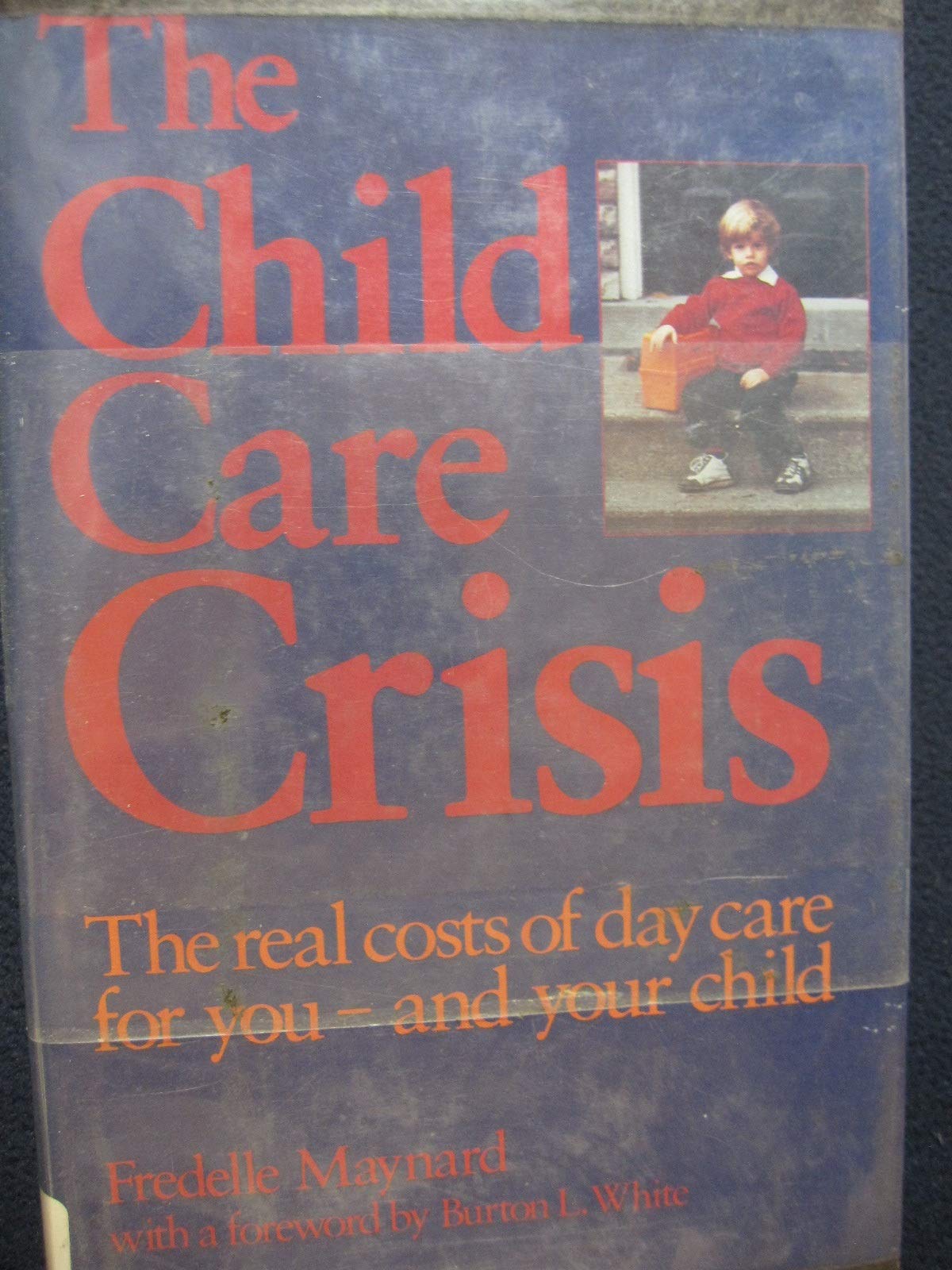 The Child Care Crisis (Contemporary family issues) book