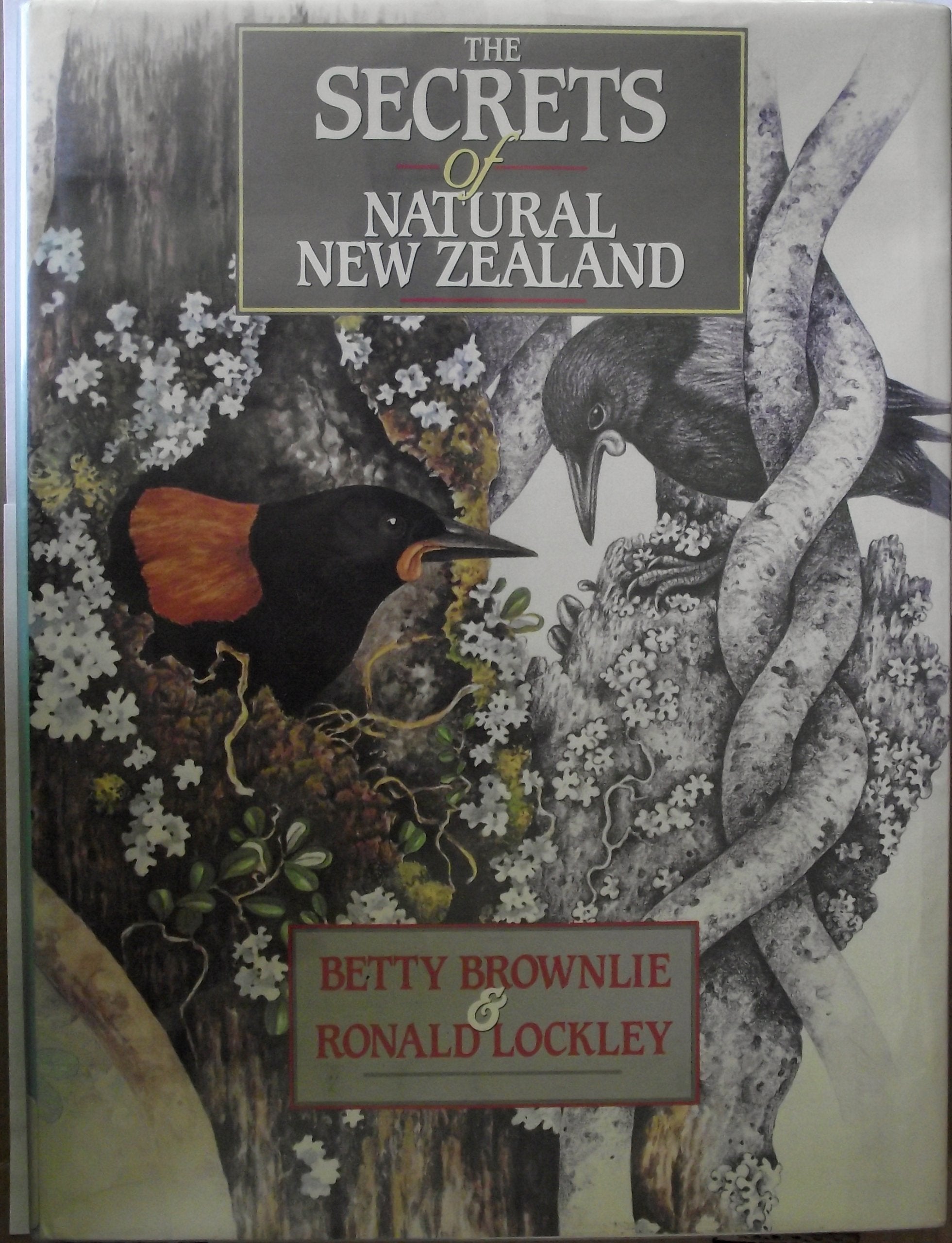 The Secrets of Natural new zealand Mathematics