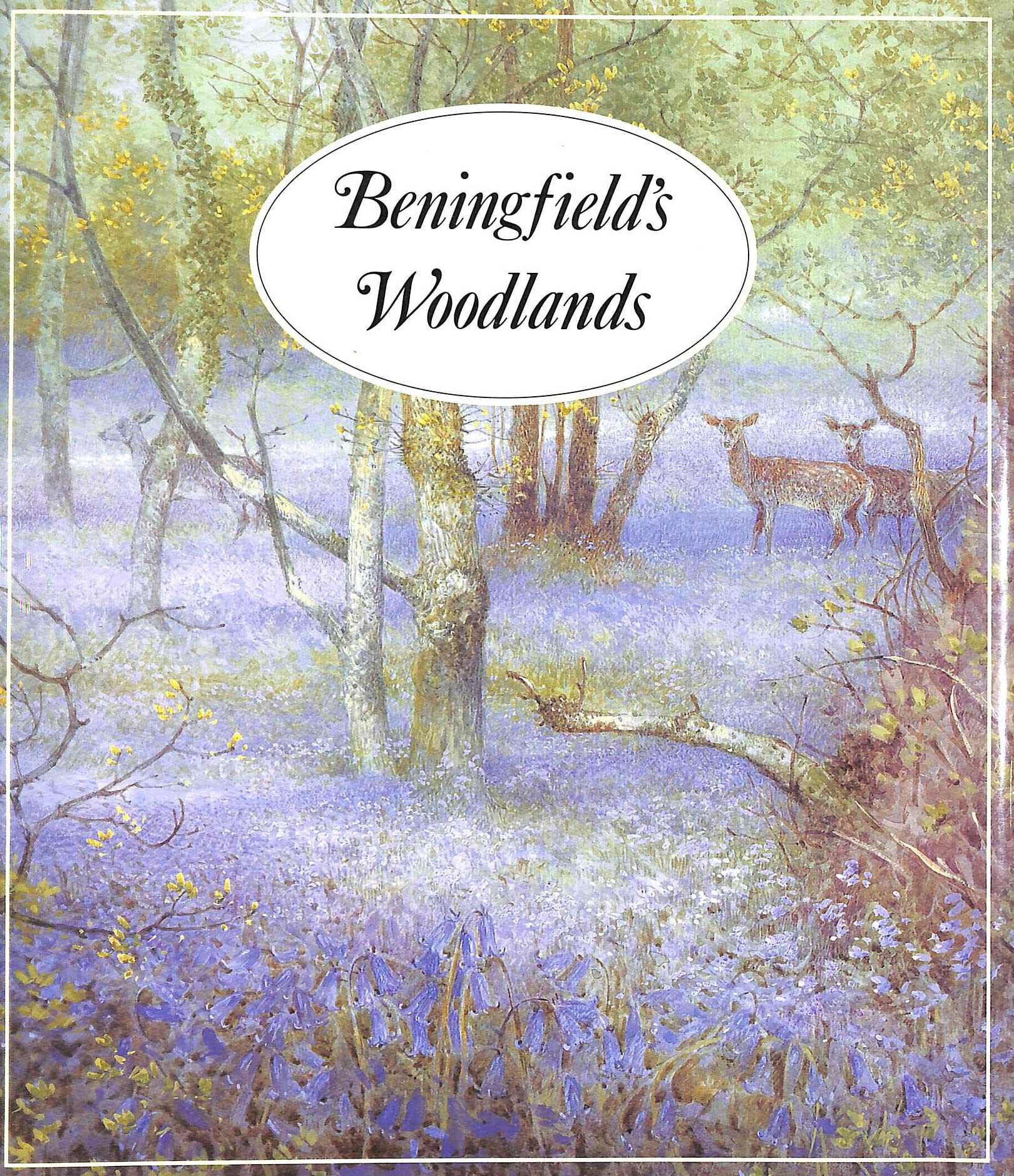 Beningfield's Woodlands Mathematics