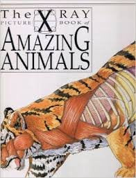 X-Ray Picture Book of Amazing Animals Books