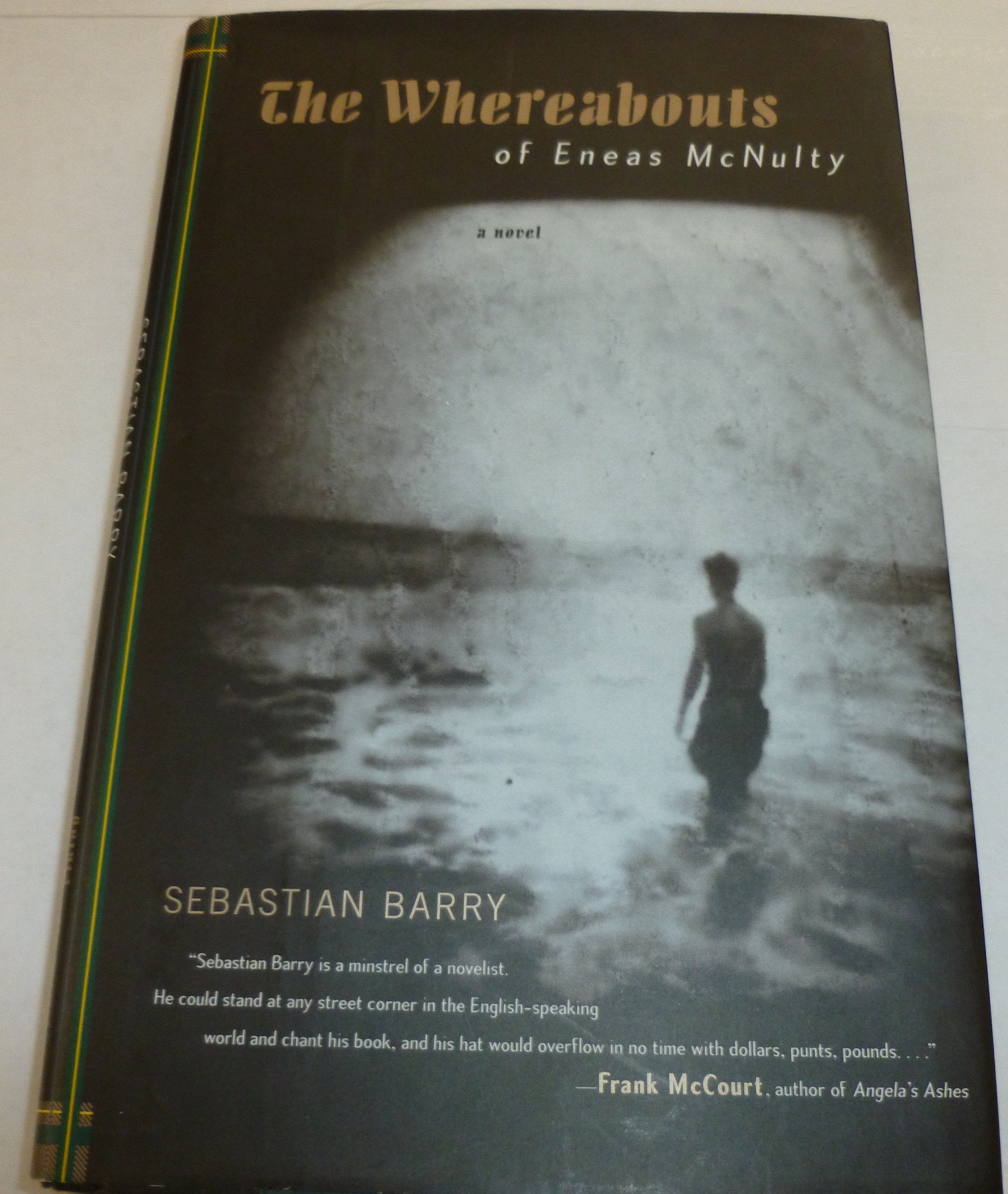 The Whereabouts of Eneas Mcnulty Historical Fiction