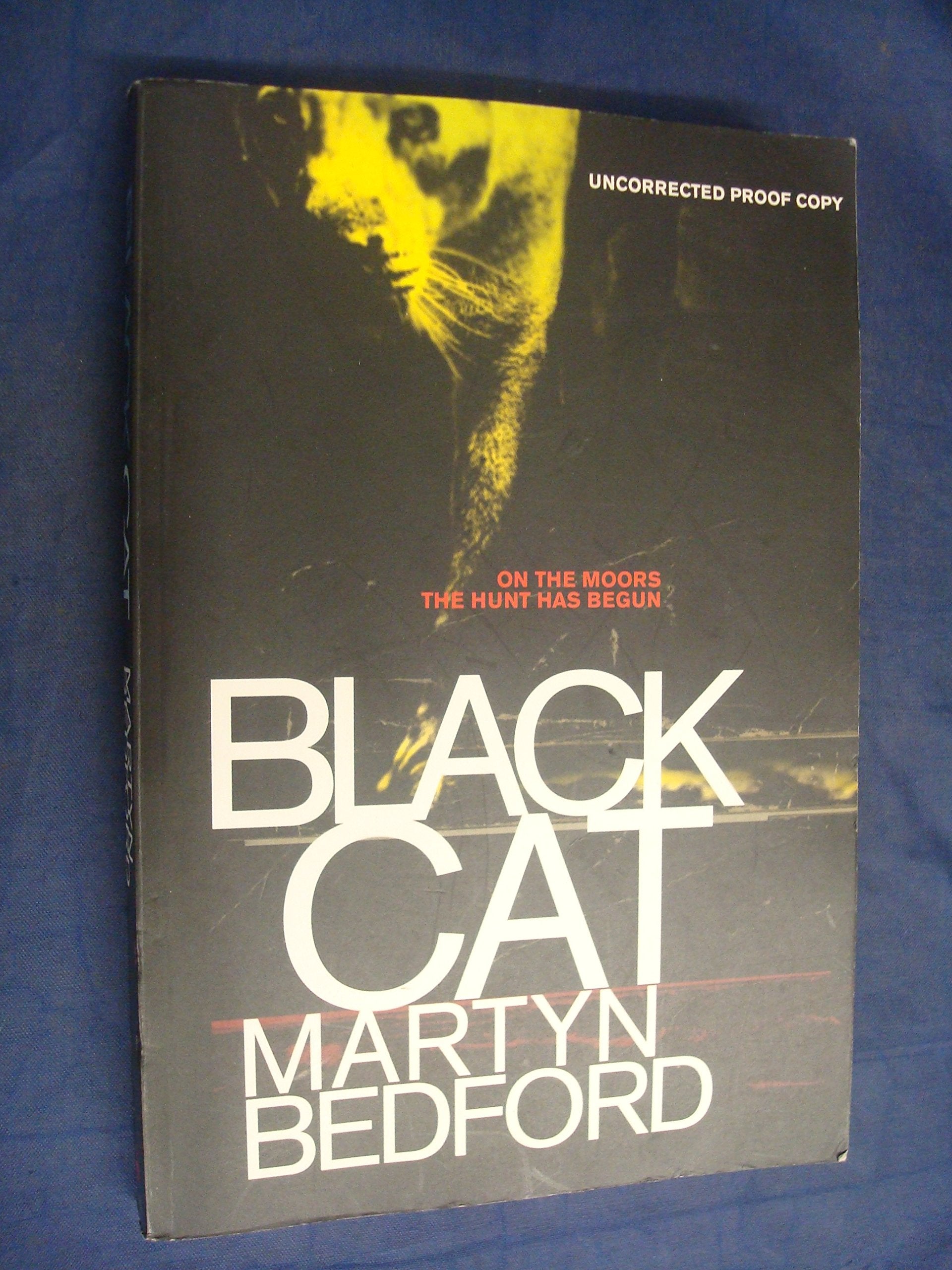 Black Cat Contemporary literature