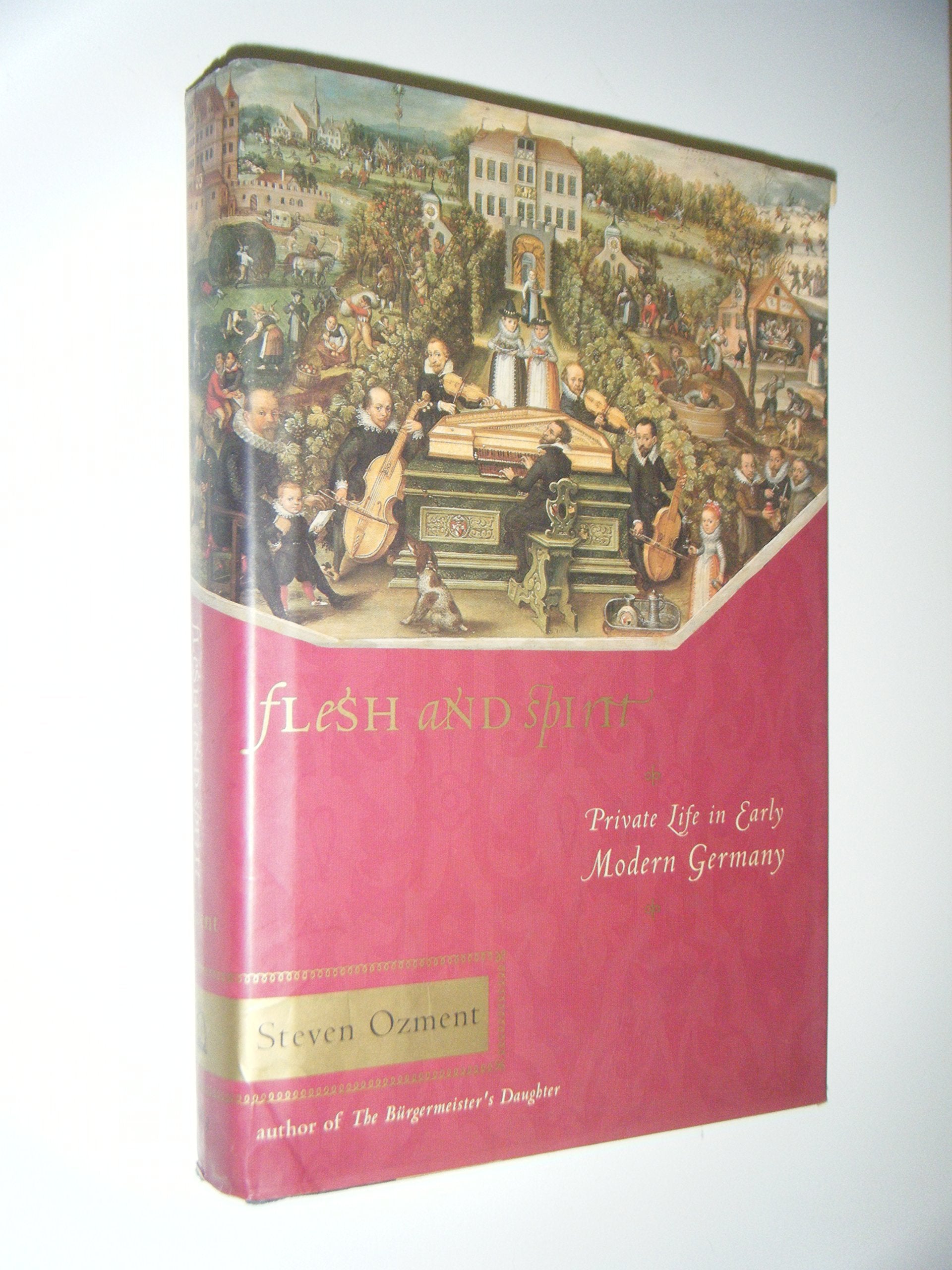 Flesh And Spirit: Private Life in Early Modern Germany Politics & History